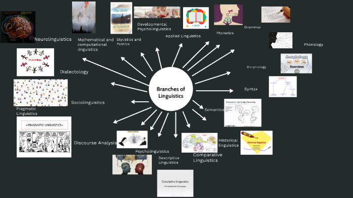 a-resource-for-studying-chatino-verbal-morphology-deepai