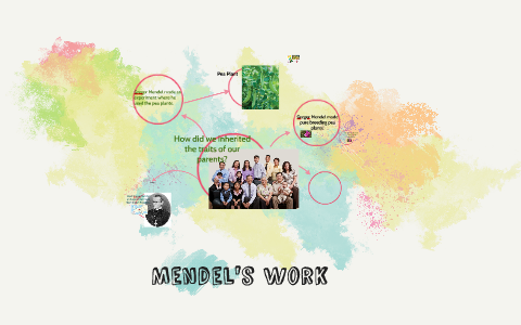 M by on Prezi