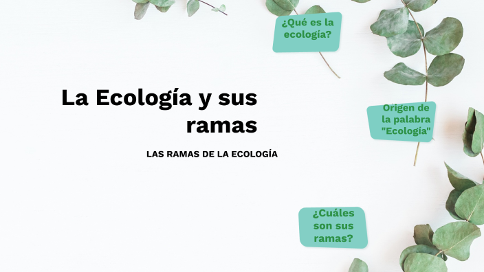 mapa conceptual de ecología de poblaciones