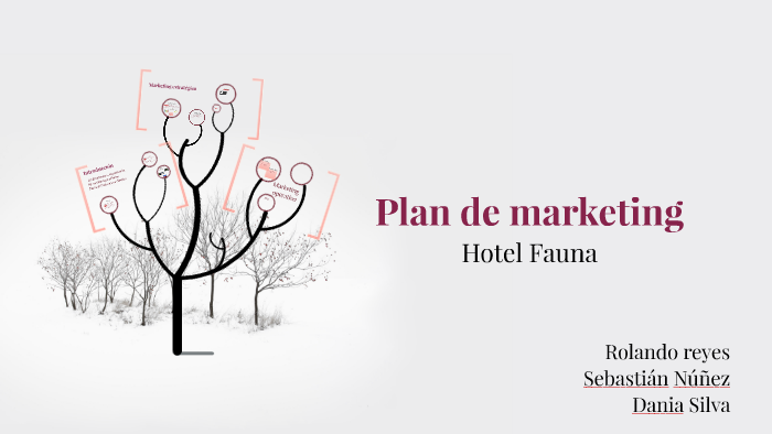 Plan de marketing by Dania Silva Moraga on Prezi