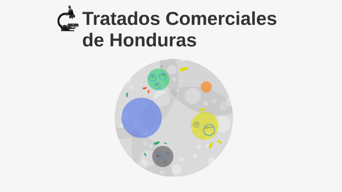 Tratados Comerciales De Honduras By Jesus Martinez On Prezi 7363