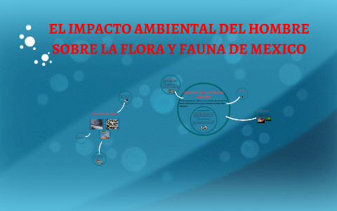 EL IMPACTO AMBIENTAL DEL HOMBRE SOBRE LA FLORA Y FAUNA DE ME by BENY SANCHEZ on Prezi Next EL IMPACTO AMBIENTAL DEL HOMBRE SOBRE LA FLORA Y FAUNA DE ME by BENY SANCHEZ on Prezi Next