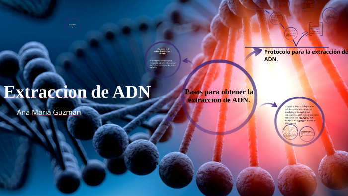 Extraccion de ADN by Ana M. Guzman on Prezi