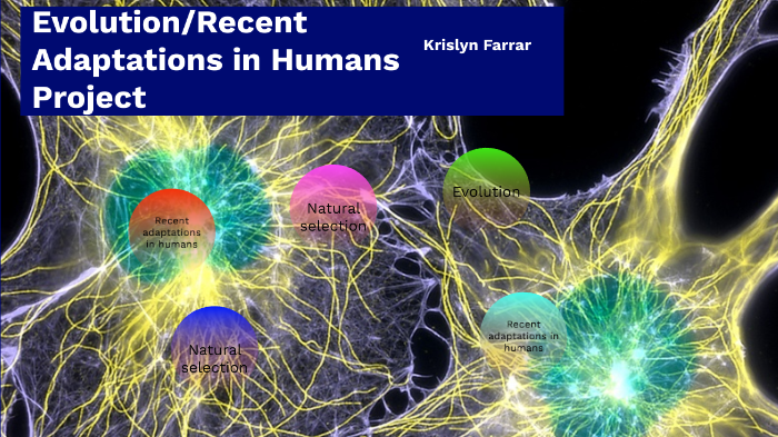 evolution-recent-adaptations-in-humans-project-by-krislyn-farrar