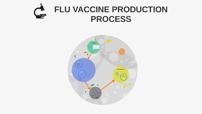 flu vaccine production