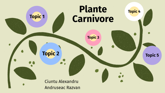 Plante Carnivore By Alexandru Ciuntu On Prezi Next