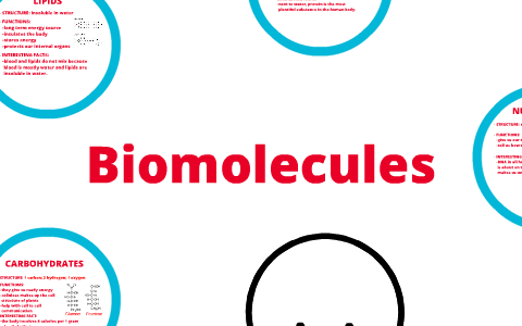 The 4 Biomolecules by angie kwon on Prezi