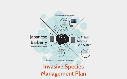 Invasive Species Management Plan By Miles Tobey On Prezi