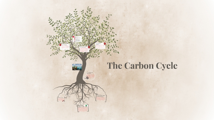 The Carbon Cycle by April Featonby on Prezi