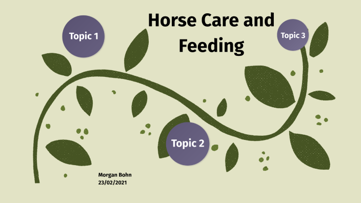 Equine Studies Unit 8, A, B, C. By Morgan Bohn On Prezi