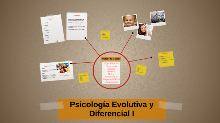 Psicología Evolutiva Y Diferencial I By Angélica Enriquez On Prezi 4041