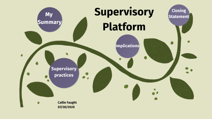 Supervisory Platform Examples