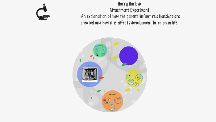 harry harlow experiment