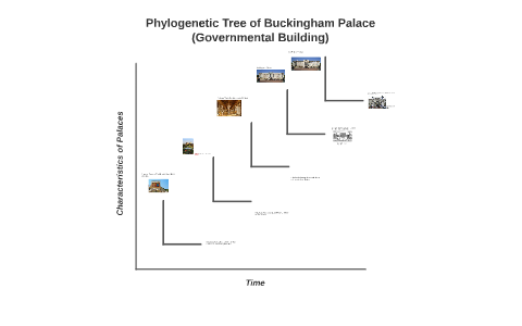 Buckingham Palace Phylogenetic Tree by Mercy Obanigba on Prezi