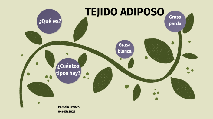 Mapa Mental Tejido adiposo by Pamela Franco on Prezi Next