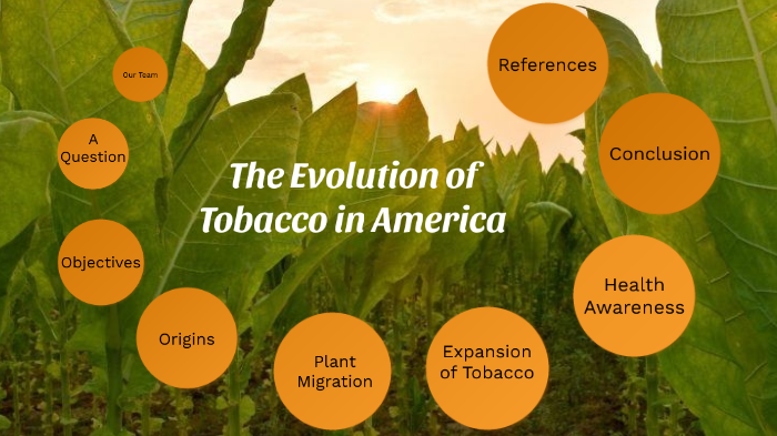 hot grabba tobacco Hot Grabba