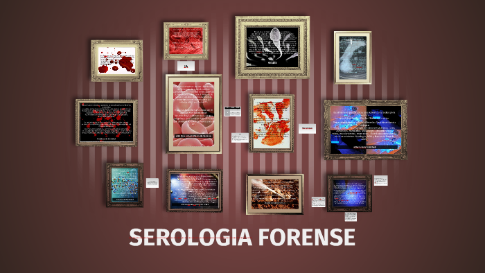 SEROLOGIA FORENSE by bertha jessenia hernandez huerta on Prezi