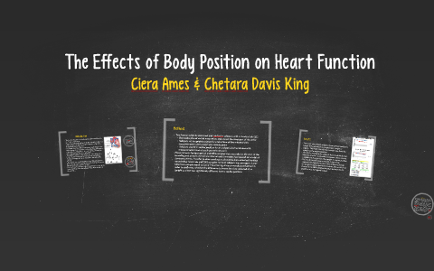 The Effects of Body Position on Heart Function by Ciera Ames