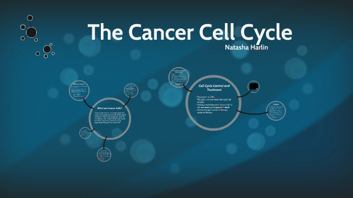 Cancer Cell Cycle by natasha harlin on Prezi