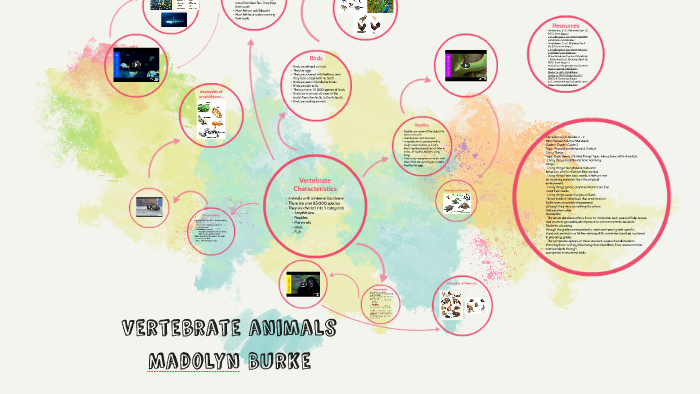 Vertebrate Animals by Madolyn Burke