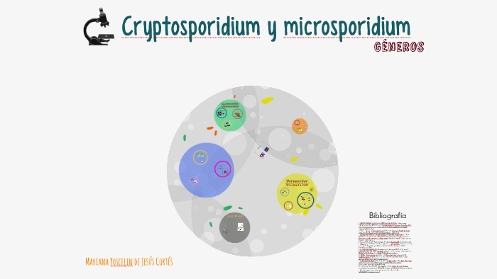 ciclo de vida del criptosporidio