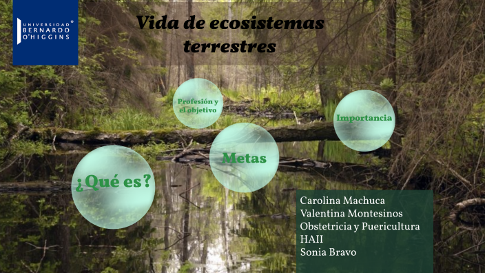 vida de ecosistemas terrestres by Valentina Montesinos on Prezi