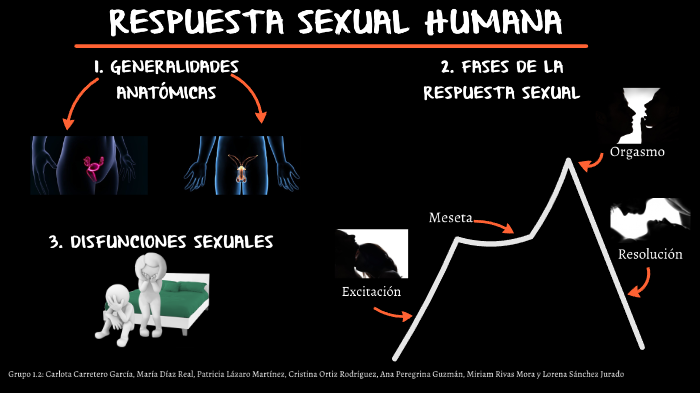 Respuesta Sexual Humana by Cristina Ortiz Rodríguez on Prezi