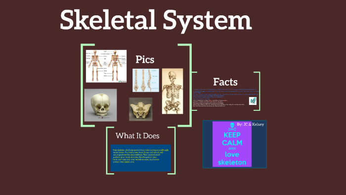 Skeletal System by kelsey howard on Prezi