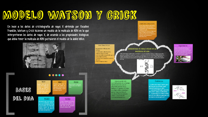 MODELO Watson y Crick by viviana  on Prezi Next
