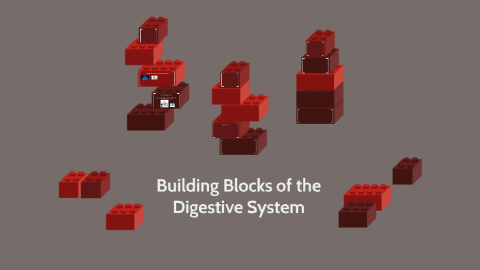 Building Blocks of the Digestive System by yvens jacques on Prezi