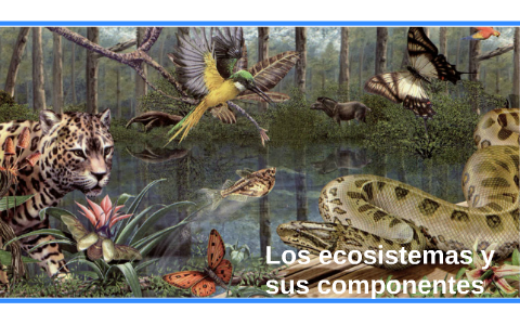 los ecosistemas y sus componentes by churi c on Prezi