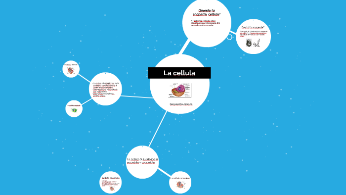 La cellula by Arianna Gasparetto on Prezi