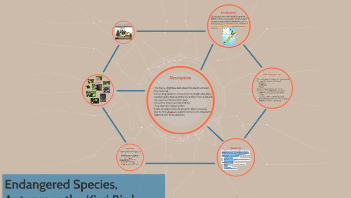 Endangered Species by Samantha Jones on Prezi