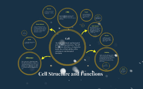 Cell Structures and Functions by Naomi Zinat