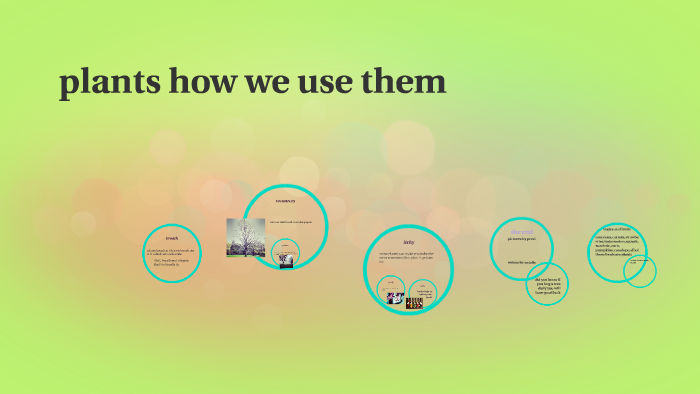 plants how we use them by natalie beal on Prezi