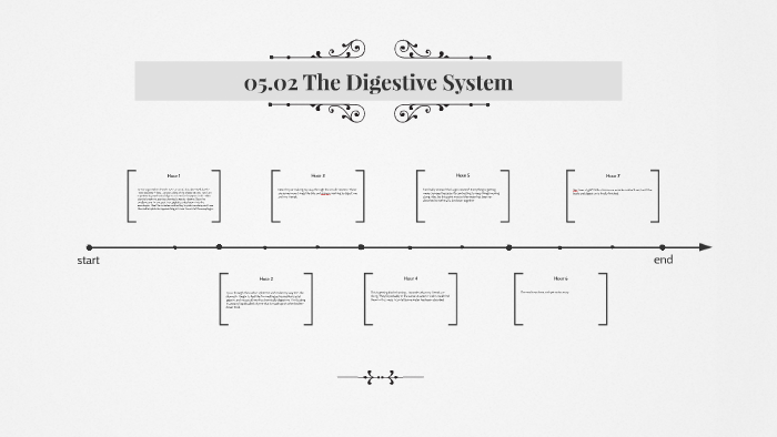 05.02 The Digestive System by Suzanna G on Prezi