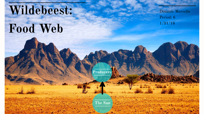 Wildebeest: Food Web by Dominic Marsella on Prezi