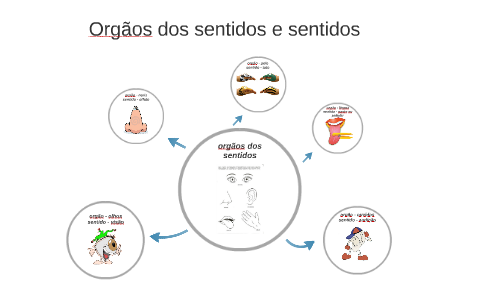 orgãos dos sentidos by Bernardo Jardim