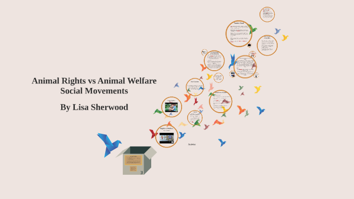 animal welfare vs animal rights research paper