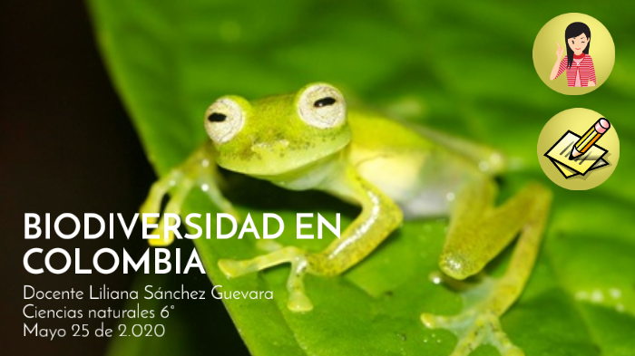 BIODIVERSIDAD EN COLOMBIA by Liliana Sánchez on Prezi