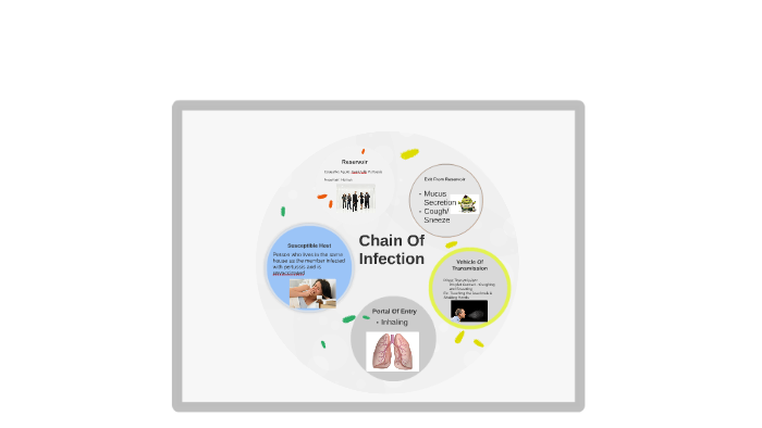 Chain Of Infection by olivia giles-johnson on Prezi