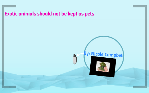 Exotic animals should not be kept as pets by on Prezi Next