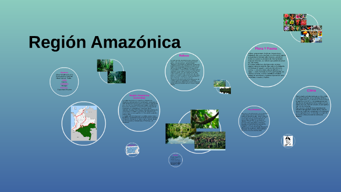 Region Amazonica by Eliana Valentina Becerra Perez on Prezi