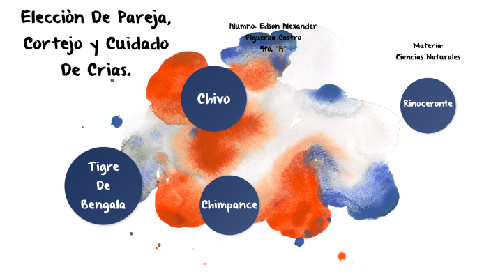 Elección De Pareja Cortejo Y Cuidado De Crías