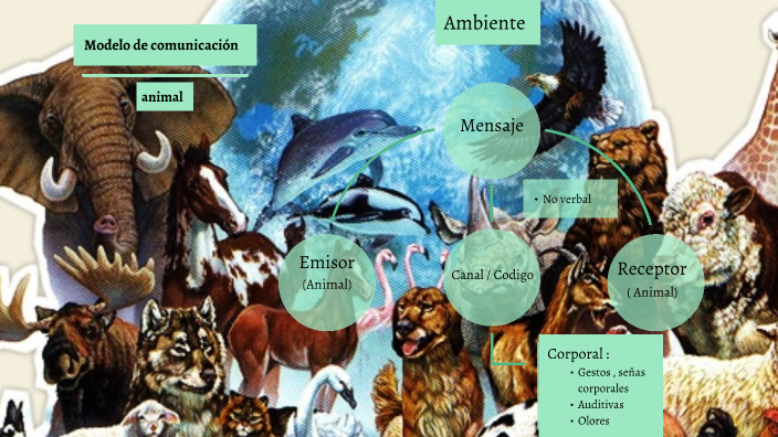 modelo de comunicación animal by Estefany Dieguez Belmar on Prezi