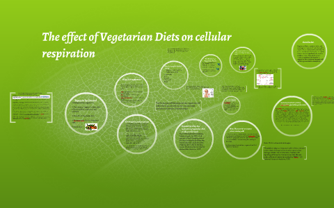 The effect of Vegetarian Diets on cellular respiration by Andrew B on Prezi