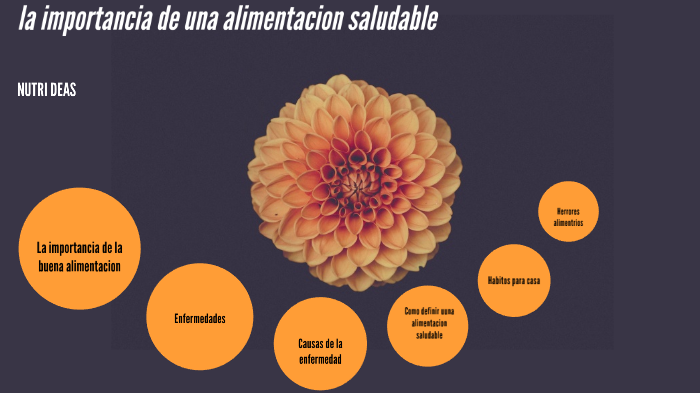 la importancia para una alimentacion saludable by Evelyn Tolentino ...