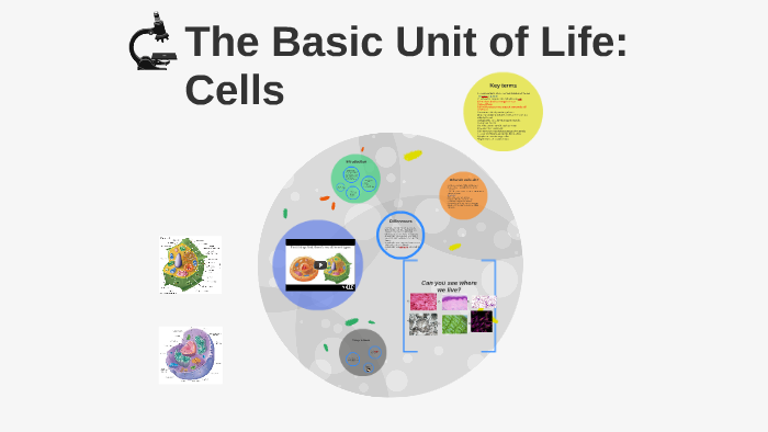 ncert-class-9-science-solutions-chapter-5-the-fundamental-unit-of