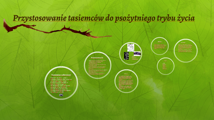 Przystosowanie tasiemców do psożytniego trybu życia by wiktoria