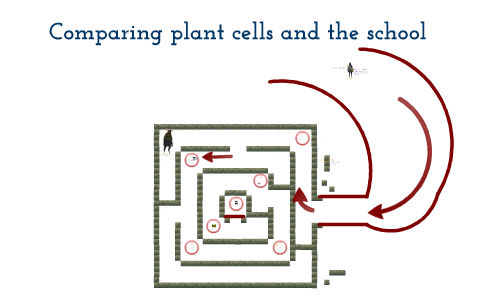 comparing plant cell to a school by Matheos Vazquez on Prezi